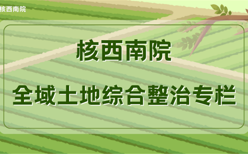 苍溪县元坝镇全域土地综合整治项目有序推进 外业调研工作已完成
